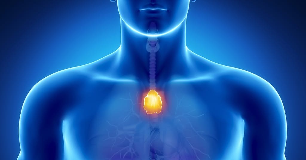 Revive a Flagging Thymus Gland and Extend Your Life as Much as 30 Years about false