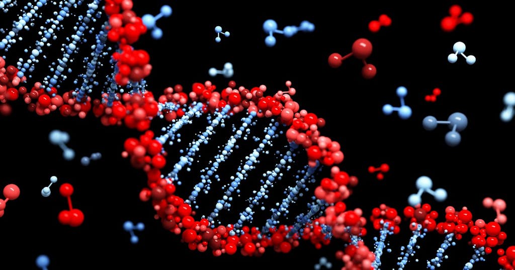 Is Your Life Expectancy Down to Your DNA? about false