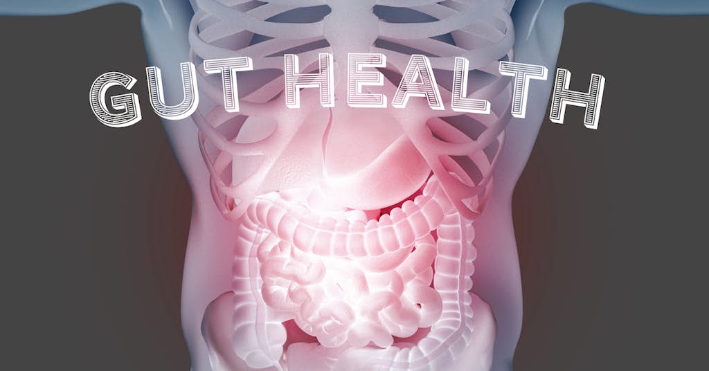 Want More Muscle Strength? Improve Gut Health about false