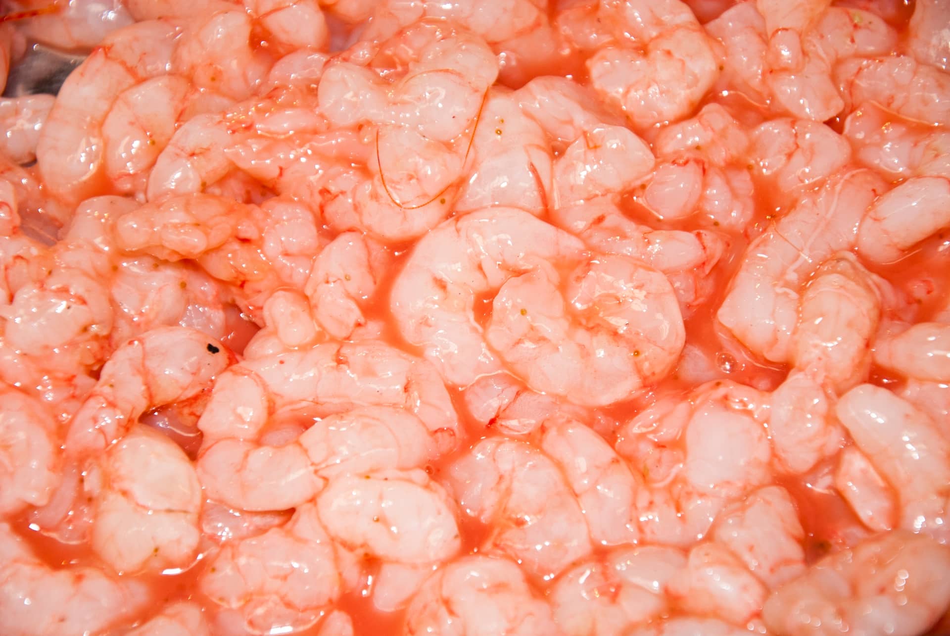 Astaxanthin Turns on a Longevity Gene about undefined