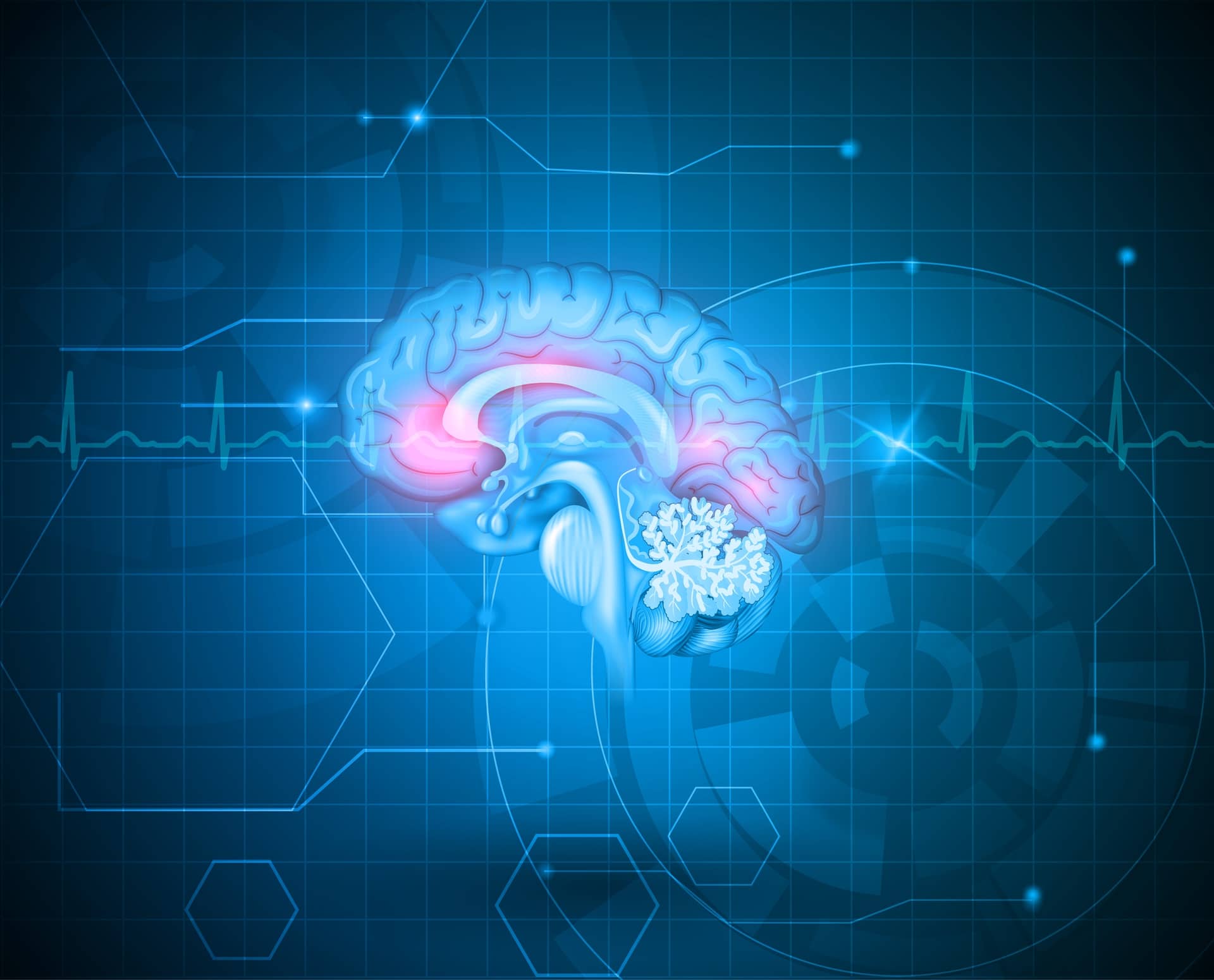 Specific Area of the Brain Holds the Key to Aging about undefined