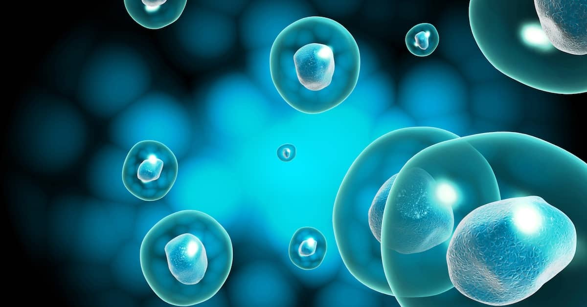 An Unlikely Combo Increases Lifespan by 36 Per Cent about undefined