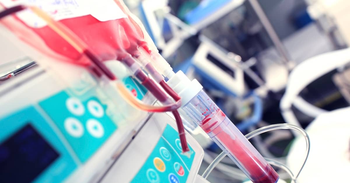 Can a Transfusion of “Young” Blood Keep You Young? about undefined