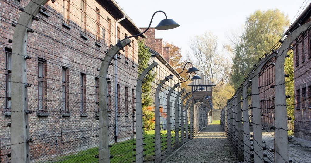 Shocking Discovery: Holocaust Survivors have Longer Life Expectancy. Why? about undefined