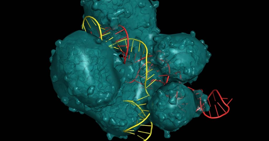 DNA Cut-Revise-Paste Holds Back Aging about undefined