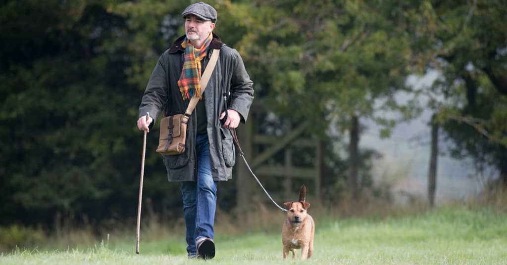 To Get More Out of Your Daily Walk, Step Up the Pace about undefined