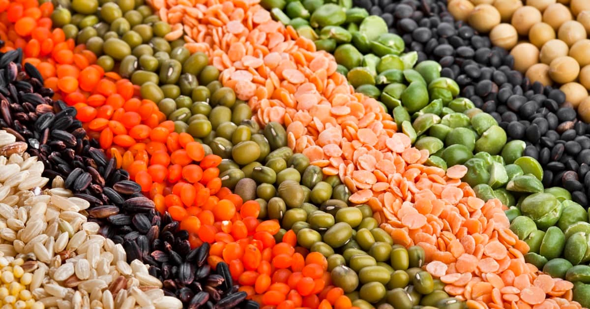 Is Plant Protein the Fountain of Youth? about undefined