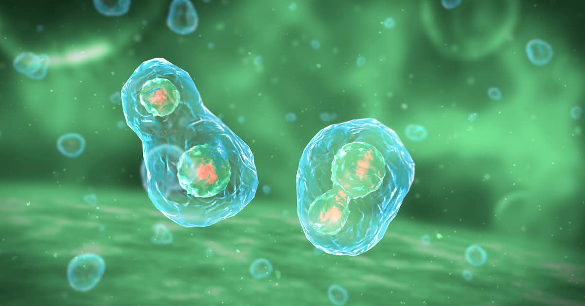 Are “Zombie Cells” Making You Old Before Your Time? about undefined