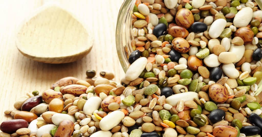 Could This be the Most Important Food for Living Longer? about undefined