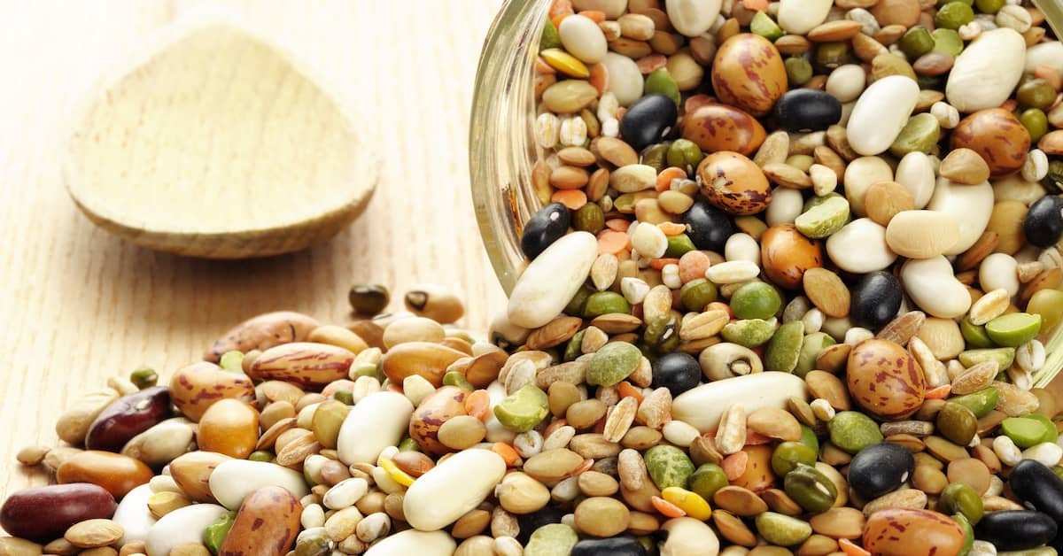 Could This be the Most Important Food for Living Longer? about undefined