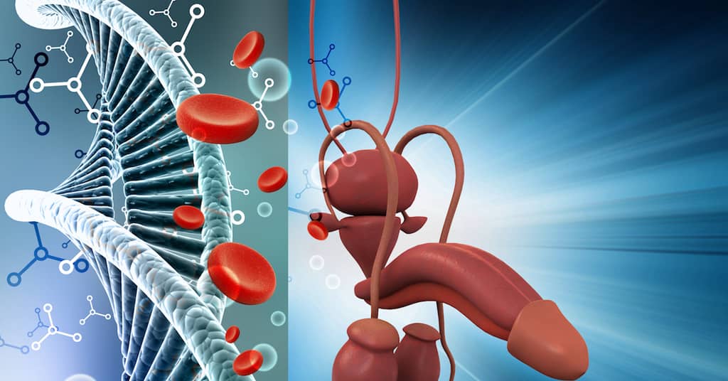 Fountain of Youth Protein Reverses Aging about undefined