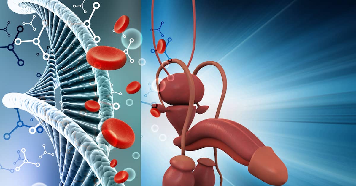 Fountain of Youth Protein Reverses Aging about undefined