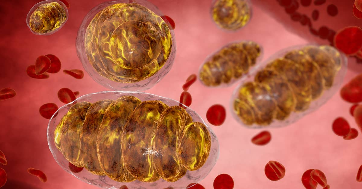 New Discovery for Staying Lean, Fit and Long-Lived about undefined