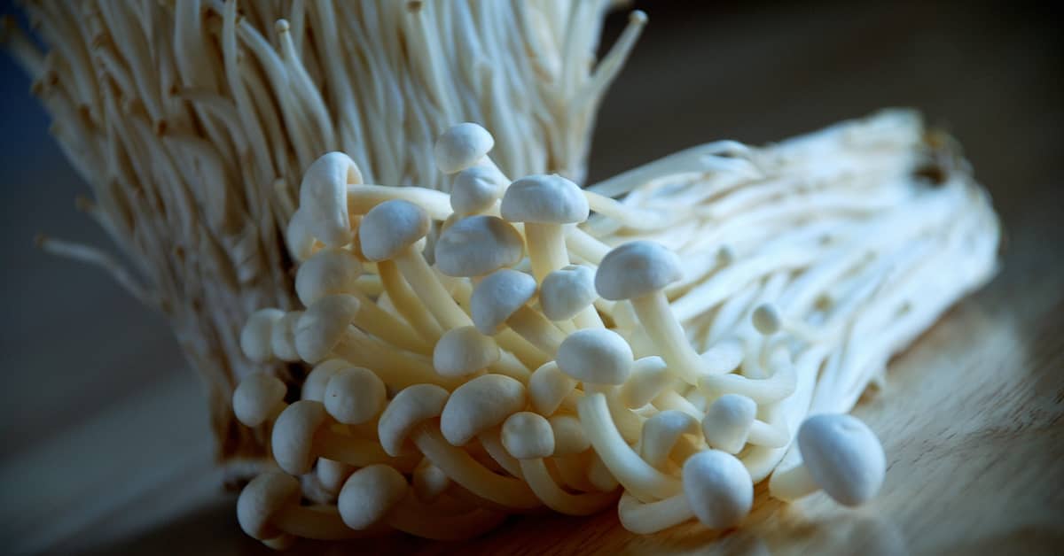 Can A Brand-New “Longevity Vitamin” Add Years To Your Life? about undefined