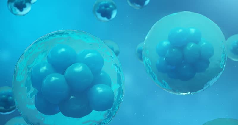 Top Three Natural Senolytics And Why You Need Them about undefined